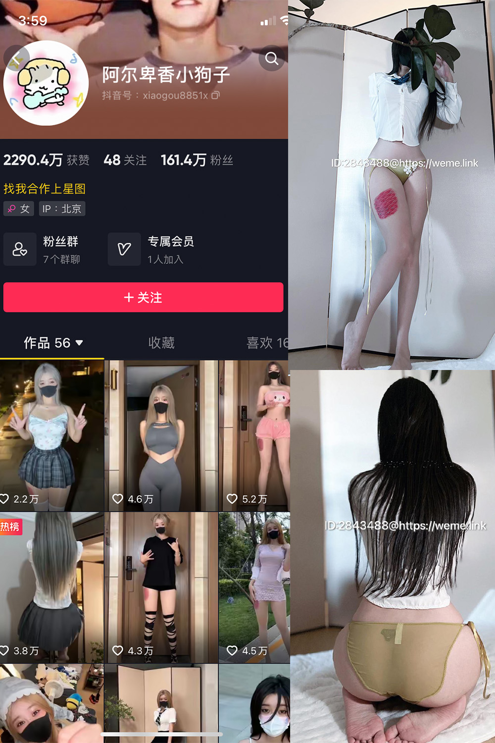 抖音 阿尔卑香小狗子 微密圈  NO.047期 【39P】最新至：2024.6.10-温存