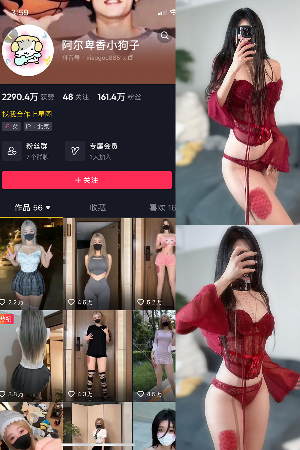 抖音 阿尔卑香小狗子 微密圈  NO.056期 【10P2V】最新至：2024.8.25-温存